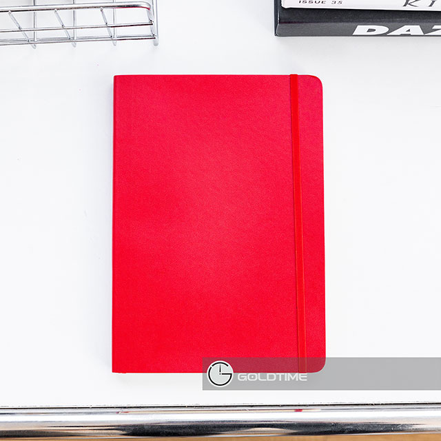 Sổ gáy dán - SDD204